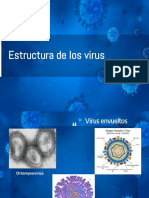 Virologia - Estructura de Los Virus - 3
