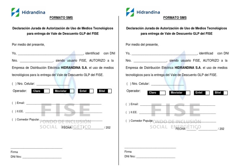 Autorización Uso Tecnológico FISE | PDF | Negocios | Informática