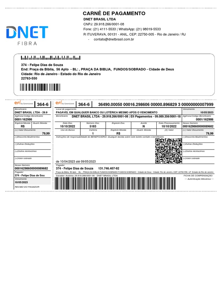 Carnê de Pagamento: Dnet Brasil Ltda | PDF | Finanças pessoais ...
