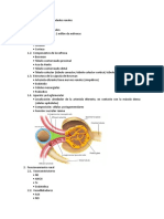 Semana 9-Fisiopatología Renal