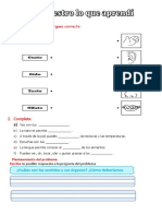 Ficha D2 CT Los Sentidos y El Olfato