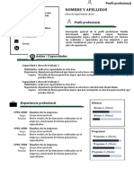 Plantilla CV Mixto