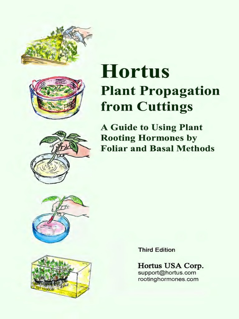 Plant Propagation PDF Perennial Plant Solubility