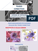 Tejido Conectivo I - CONTENIDO COMPLEMENTARIO