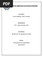Determinacion de Requerimiento Resumen2