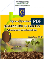 PDF Germinacion de Frijoles Aplicacion Del Metodo Cientifico - Compress