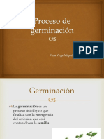 4 Proceso de Germinación