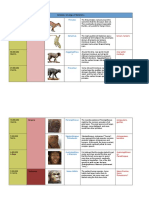 Human Evolution Timeline