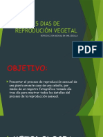 15 Dias de Reprodución Vegetal