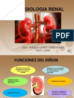 Fisiologia y Anatomía Renal