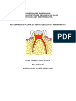 Recubrimiento Pulpar en Dientes Deciduos y Permanentes