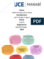 Mapa Conceptual Determinante de La Salud