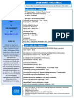 CV Profesional L. Gotopo