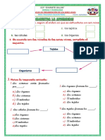 Ficha #1 - Niveles de Organizacion