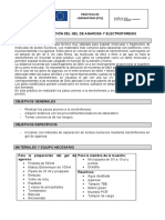 Práctica 12 Electroforesis y Gel Agarosa