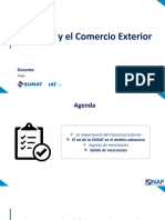 7.la Sunat y El Comercio Exterior (NoE-P) Base