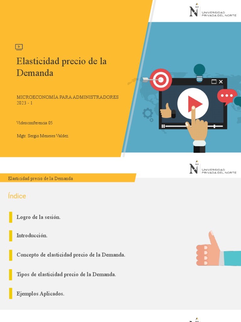 Elasticidad Precio de la Demanda Explicada | PDF | Elasticidad ...
