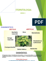 Fitopoatologia