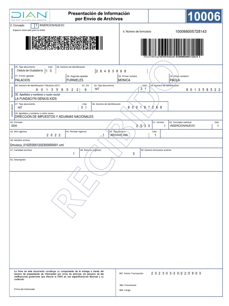 Formato 2530 DIAN: Instrucciones y Datos | PDF
