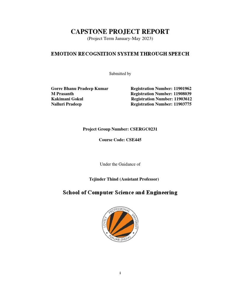 Capstone Project Report PDF