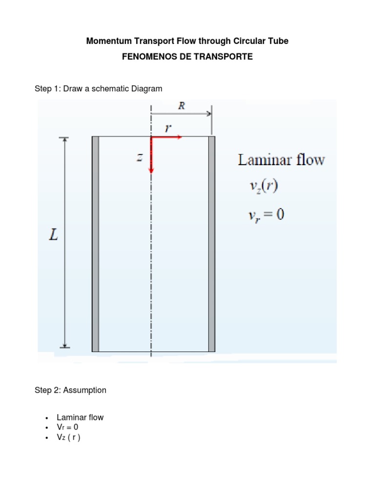 2 Momentum Transport Flow Through Circular Tube OK PDF