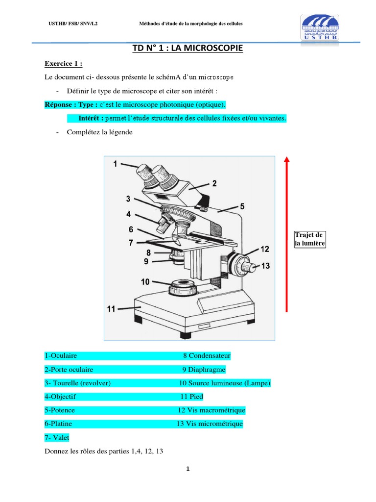 Évaluation sur le microscope en SVT 6ème | PDF | Cellule (Biologie ...