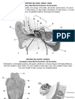 ESQUEMAS BIOLOGIA II EJ23 Recomendacion