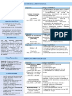 Noboa Luis CV