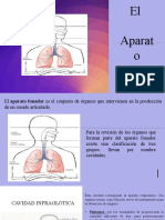 Aparato Fonador