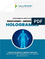 PDF Hologramas Luz y Armonia Peru Compress