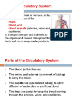 Lec-21,22,23 - Circulatory System