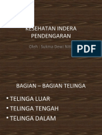 Kesehatan Indera Pendengaran