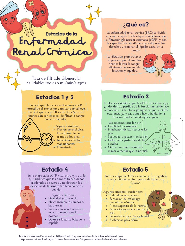 Estadios de La Enfermedad Renal Crónica | Descargar gratis PDF | Riñón ...
