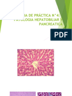 Práctica N°4 Patologia Hepatobiliar y Pancreatica