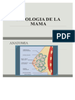 Patología mama 