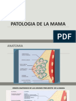 5TA TEORIA PATOLOGIA DE LA MAMA 2022