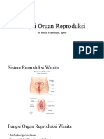 Fungsi Organ Reproduksi