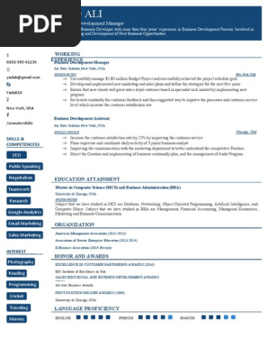 Professional Resume
