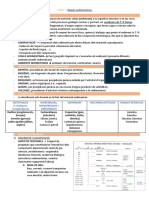 TEMA 7 Roques Sedimentàries