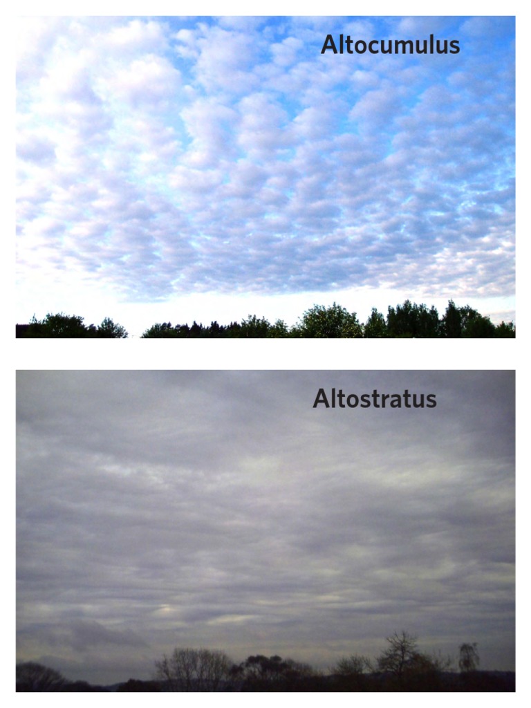 Types of Clouds and Their Characteristics | PDF | Cloud | Sky