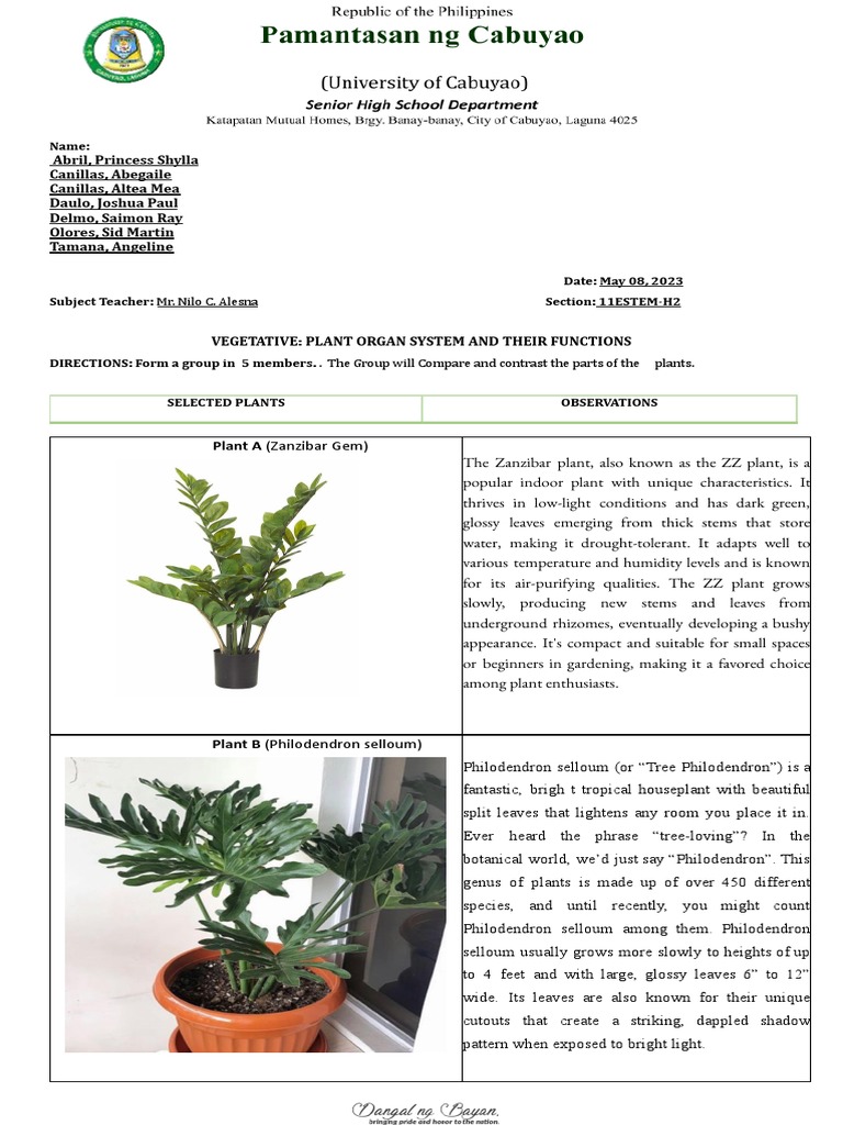 Characteristics of Rosa spp. | PDF | Plants | Rose