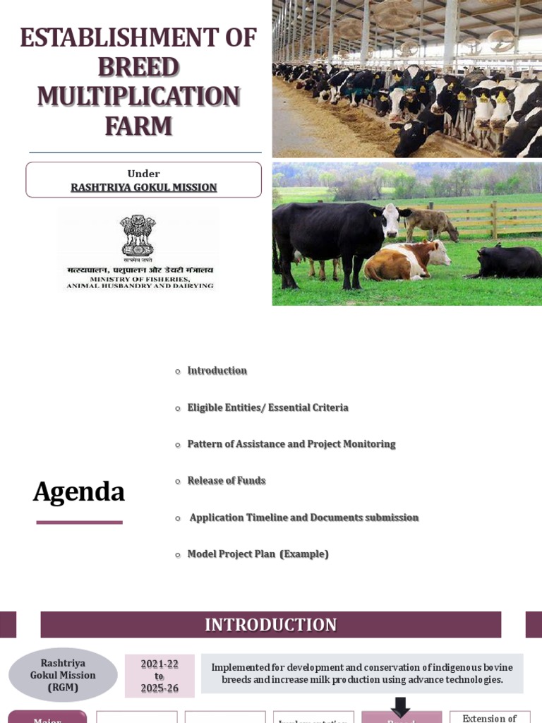RGM Breed Multiplication Farms Guidelines PDF Dairy Cattle Cattle