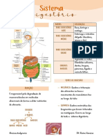 Sistema Digestivo