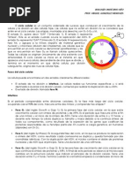 Ciclo Celular