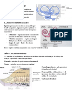 Sistema Vestibular