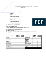 Estructura Informe Wais Iv