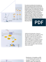 Articulo Sobre Objetivos Emergentes en DM2 y Complicaciones - Fisiopatologia