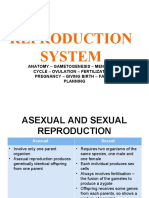 Reproduction System