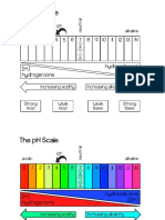 PH Scale Coloring Worksheet