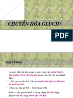 Chuyển Hóa Glucid